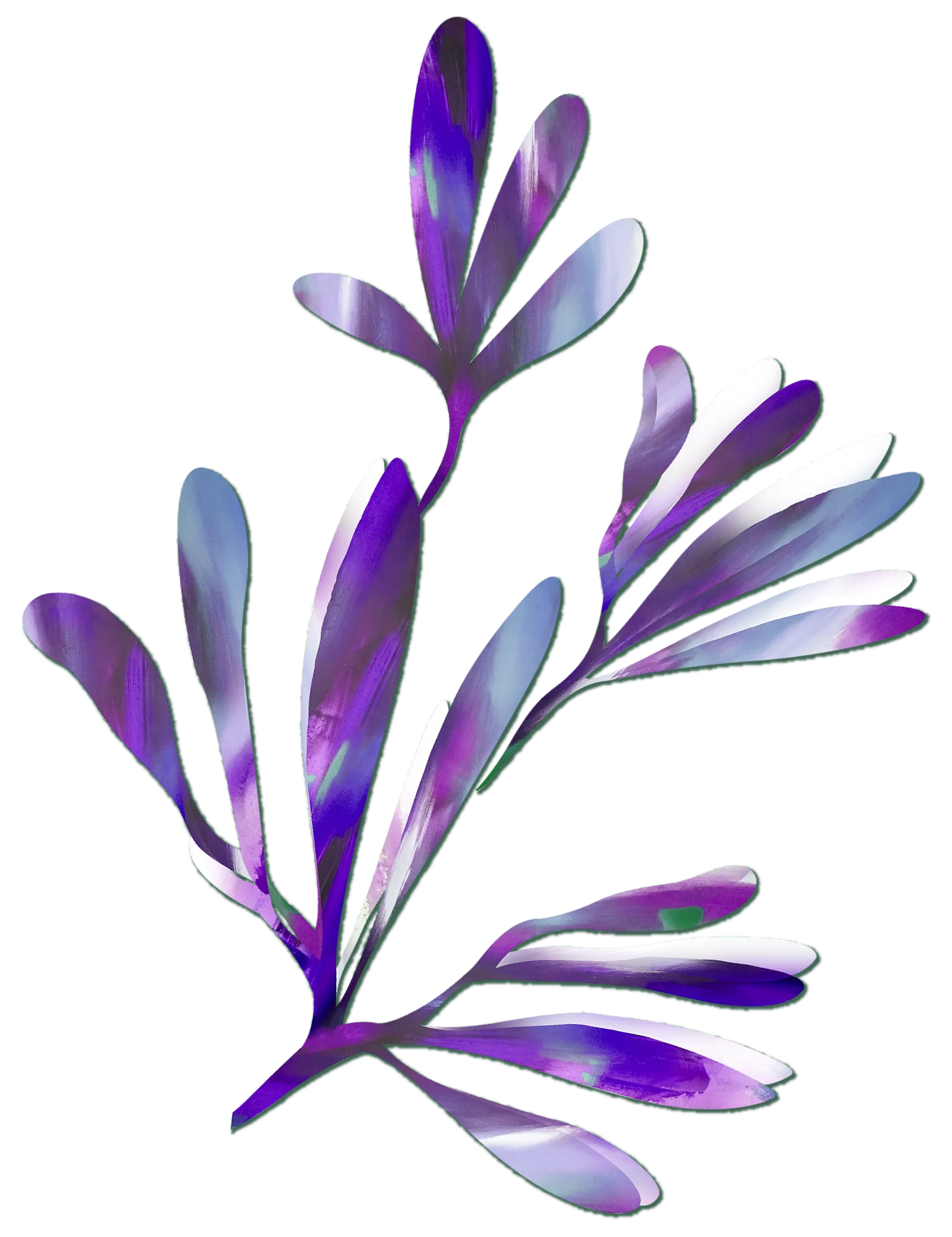 flower1