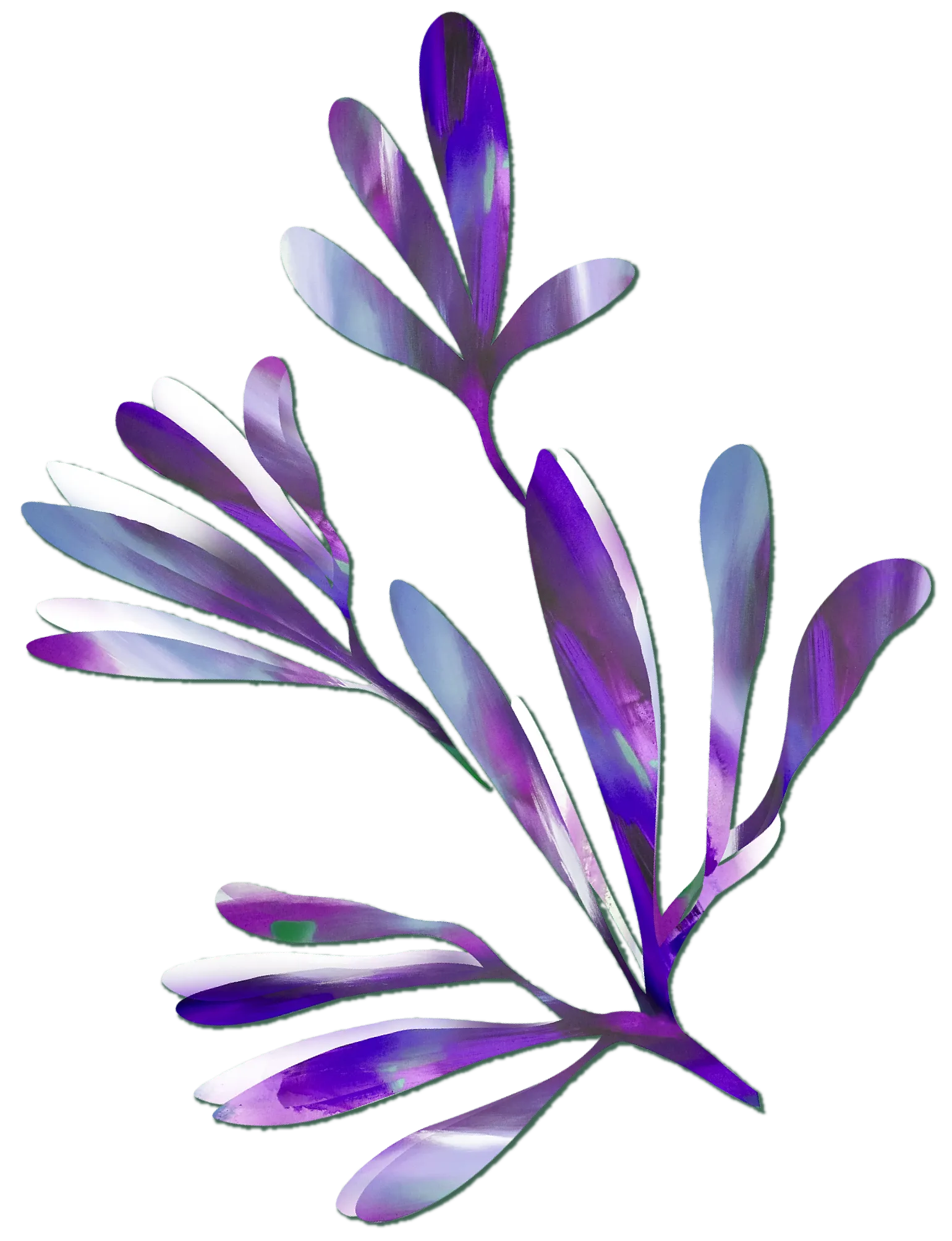 flower2