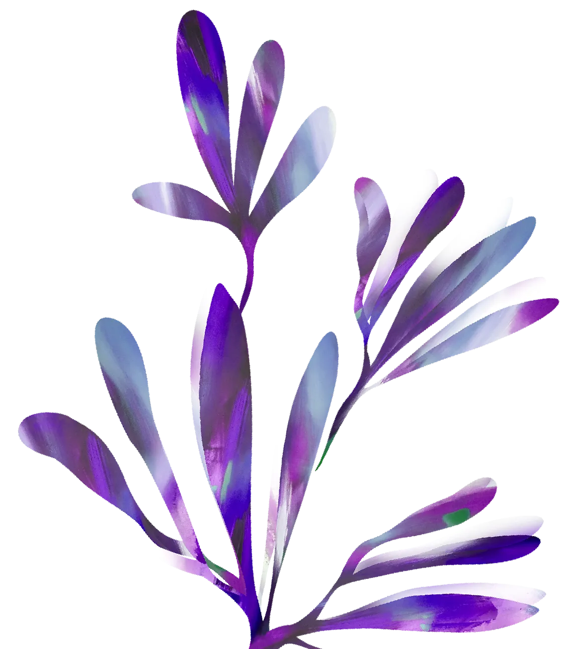 flower1